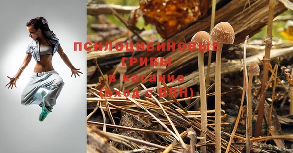 дживик Балахна