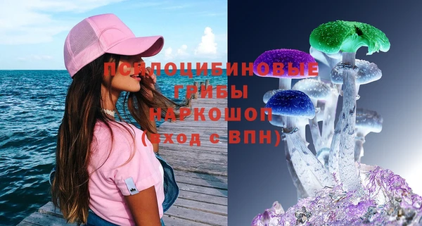 дживик Балахна